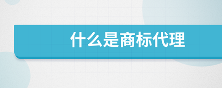 商標代理 企業品牌的法律守護者