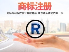 上海青浦5G通信技術(shù)服務(wù)商標(biāo)注冊(cè)指南 助力企業(yè)搶占技術(shù)先機(jī)